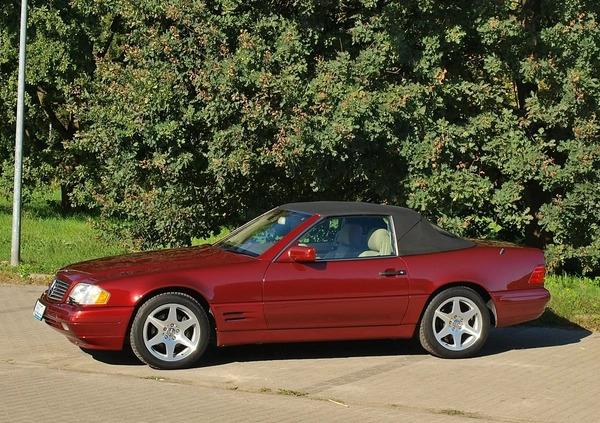 Mercedes-Benz SL cena 80000 przebieg: 115000, rok produkcji 1997 z Warszawa małe 781